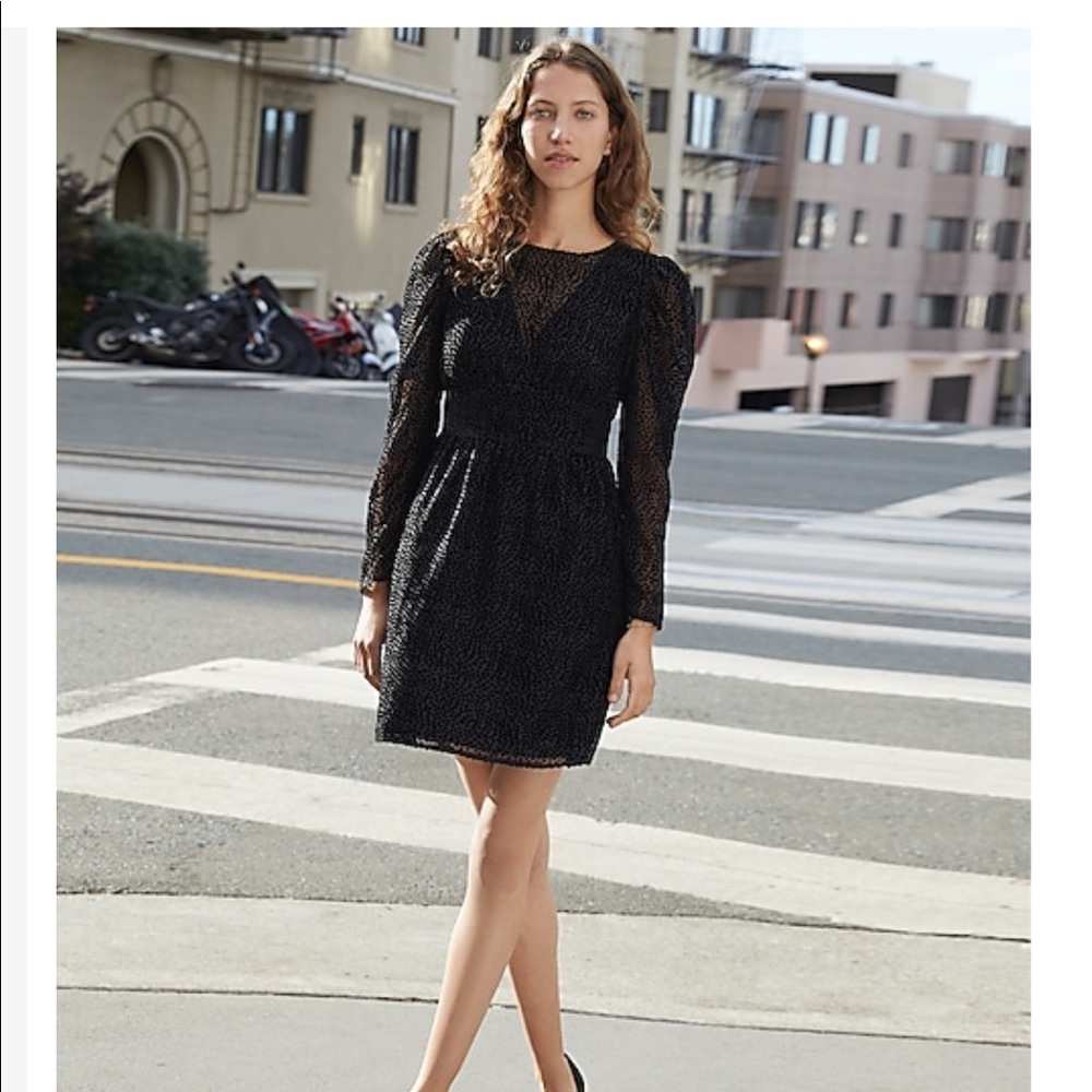 Express Black Velvet puff sleeve Dress